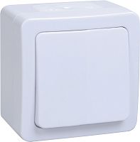 Выключатель кнопочный накладной IEK Гермес Plus ВСк20-1-0-ГПБ 1-кл. IP54 белый картинка